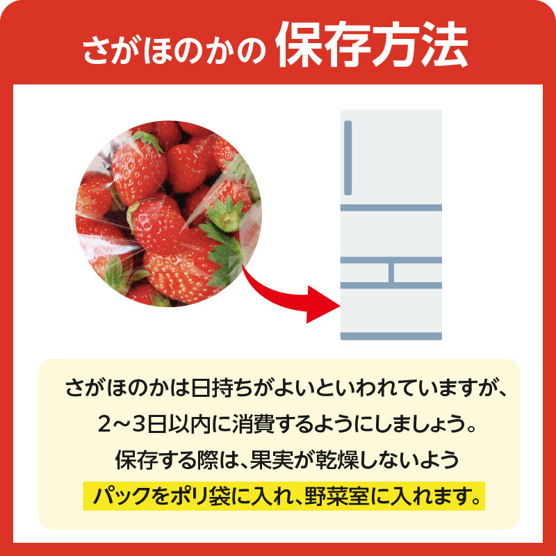 〈予約受付〉渡邉農園 佐賀県玄海町産さがほのか 2箱4パック（1月～4月にお届け）