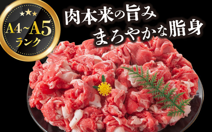 長崎和牛 和牛 国産 牛肉