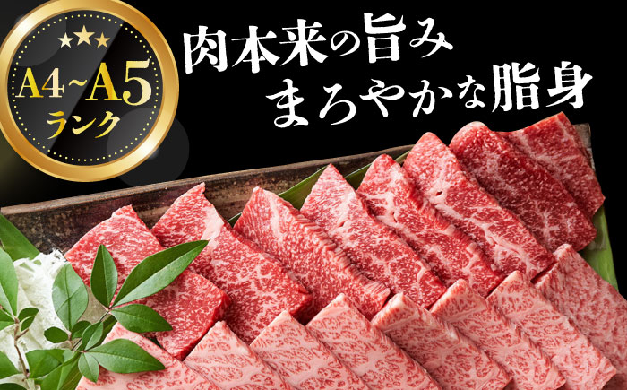 長崎和牛 和牛 国産 牛肉