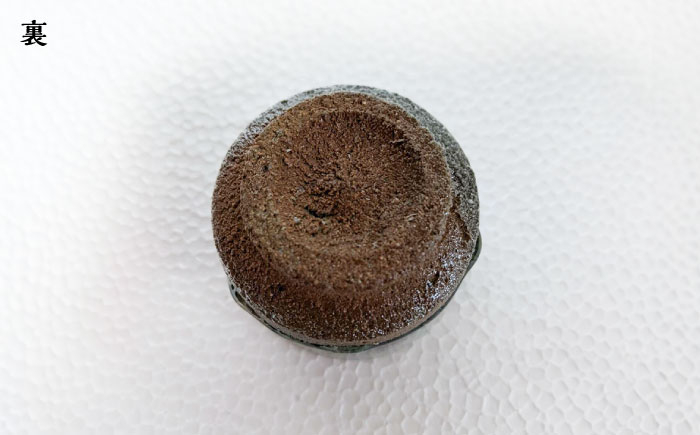 【つつえ窯】朝鮮唐津ぐい呑み [UAJ014]