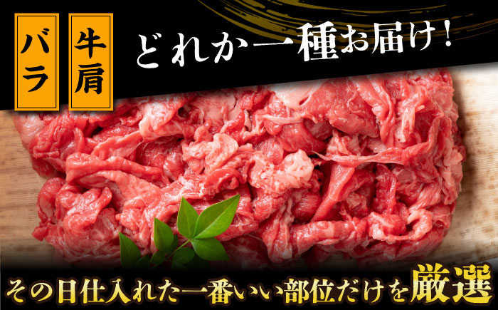 長崎和牛 和牛 国産 牛肉