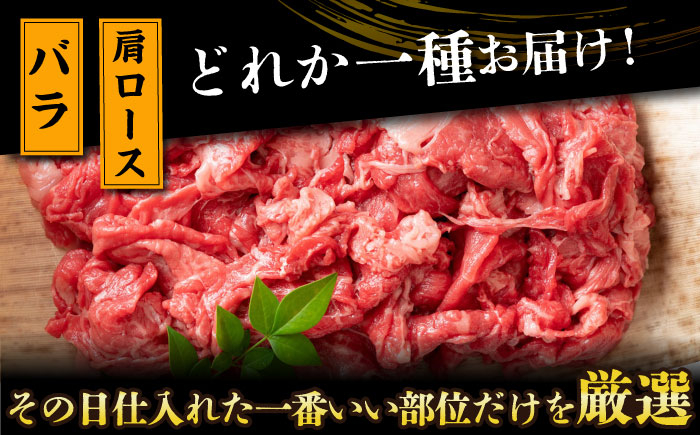 長崎和牛 和牛 国産 牛肉