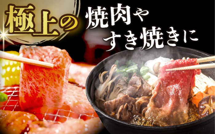 長崎和牛 和牛 国産 牛肉