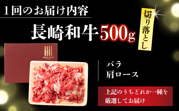 長崎和牛 和牛 国産 牛肉