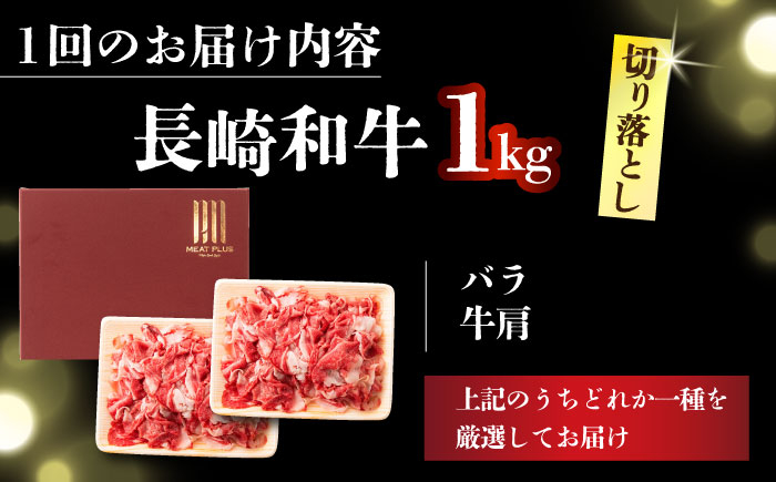 長崎和牛 和牛 国産 牛肉