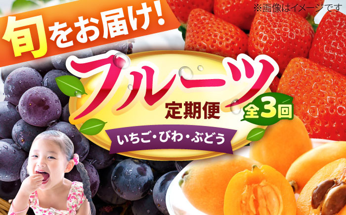 果物 フルーツ定期便。いちご びわ ぶどう