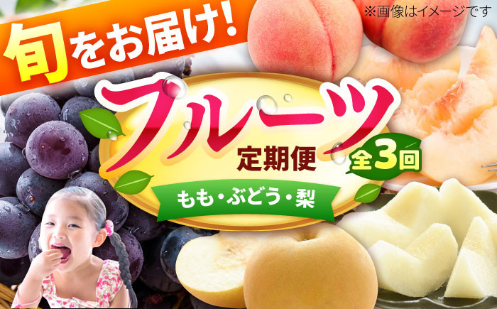 果物 フルーツ定期便 もも ぶどう 梨