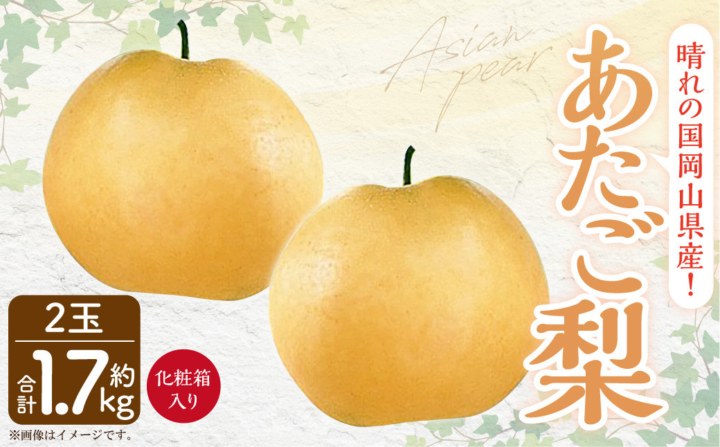 岡山県産 あたご梨 2玉 (約1.7kg) 化粧箱入り