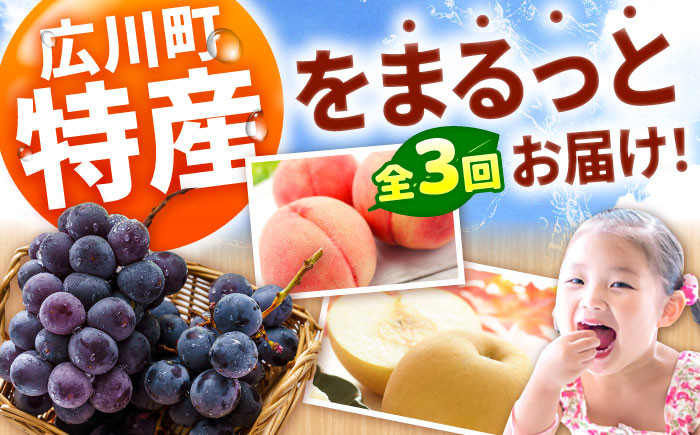 果物 フルーツ定期便 もも ぶどう 梨