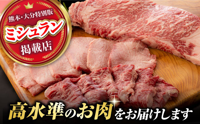サーロインステーキ ハラミ タン シャトーブリアン 焼き肉 高級 希少 牛肉 冷凍 あかうし 熊本 和牛 国産 赤身