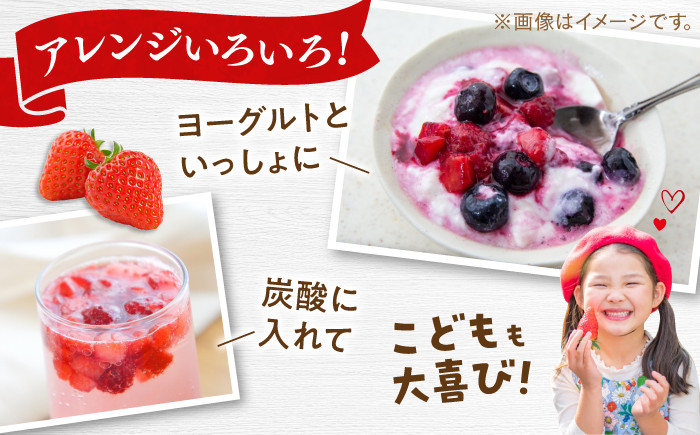 訳あり品 冷凍いちご「博多 冷凍あまおう」1kg(加工用)