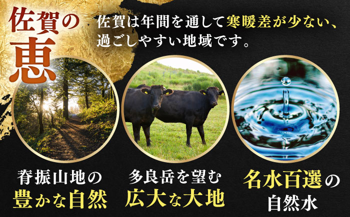 【全国有数のブランド牛】佐賀牛 しゃぶしゃぶ 食べくらべ セット C  計1kg 【JAさが 杵島支所】牛肉 しゃぶしゃぶ 肉