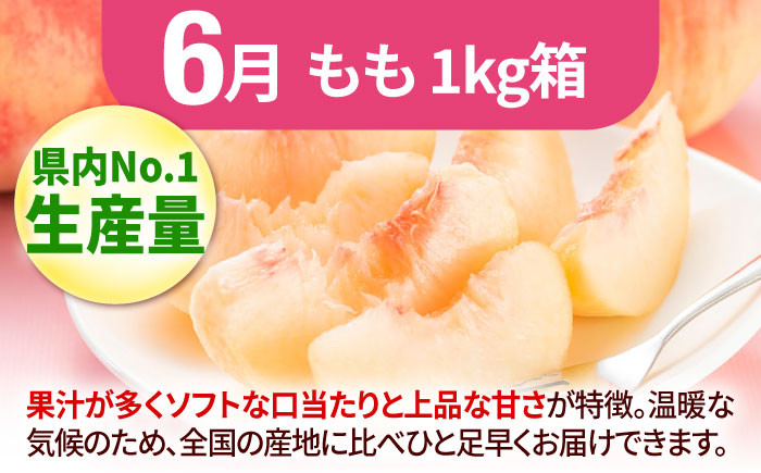 果物 フルーツ定期便 もも ぶどう 梨