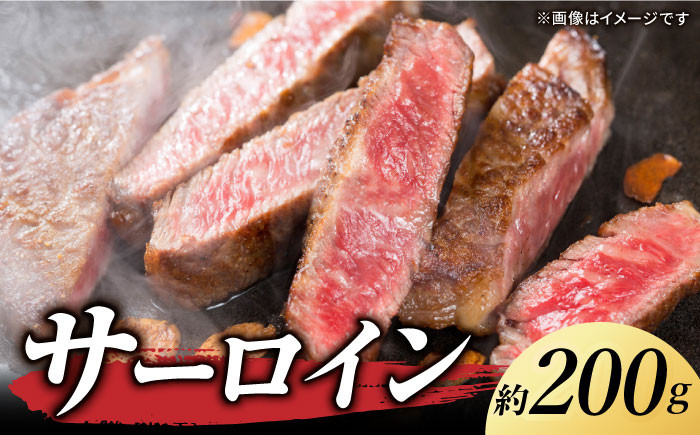サーロインステーキ ハラミ タン シャトーブリアン 焼き肉 高級 希少 牛肉 冷凍 あかうし 熊本 和牛 国産 赤身