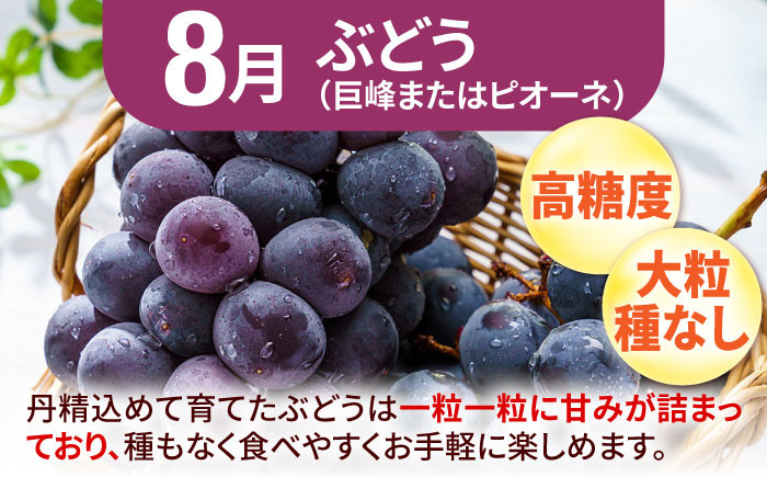 果物 フルーツ定期便。いちご びわ ぶどう