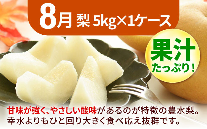 果物 フルーツ定期便 もも ぶどう 梨