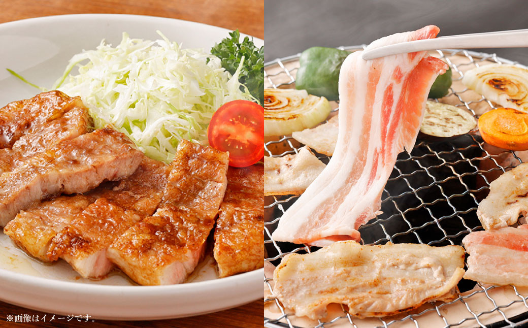 熊本県産 火の君ポーク 詰合せ