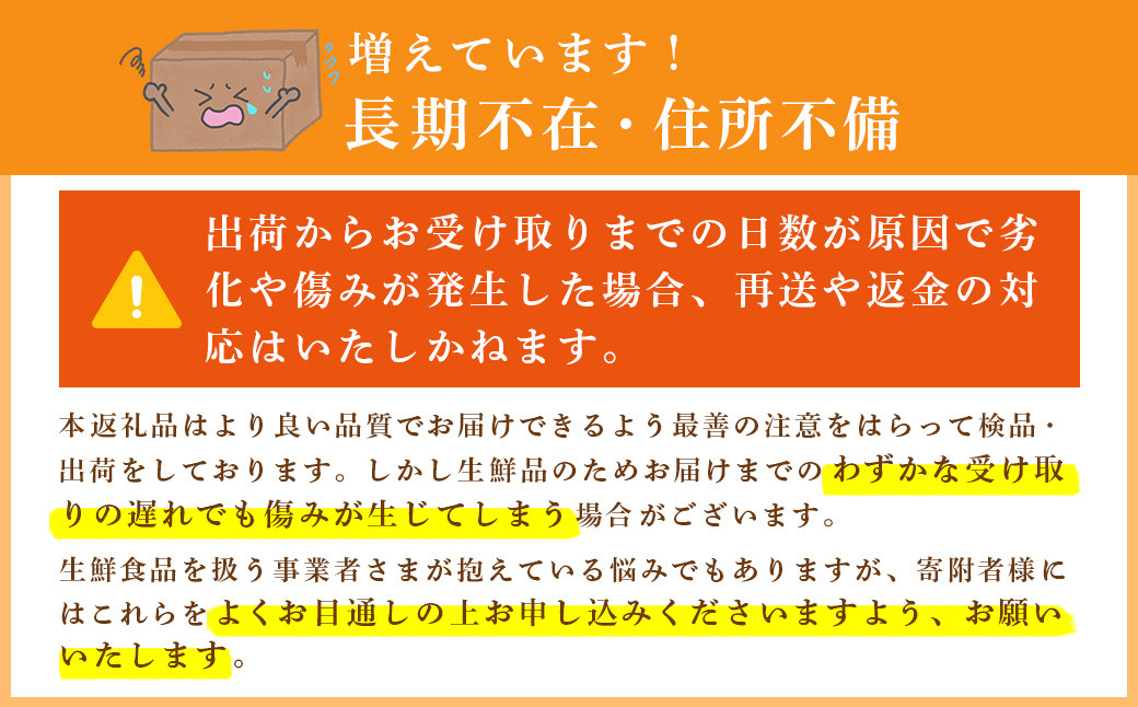 ぶどう 巨峰 葡萄 グレープ 果物 フルーツ 甘い おいしい 旬