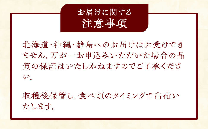 愛宕梨3kg。なし 果物 大きい