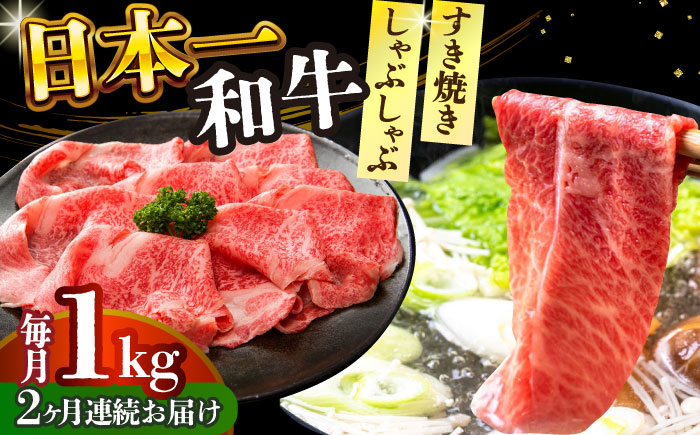 長崎和牛 和牛 国産 牛肉