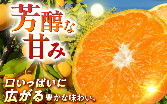 みかん ミカン 柑橘 温州みかん 果物 くだもの フルーツ 長崎みかん 長与みかん 10㎏