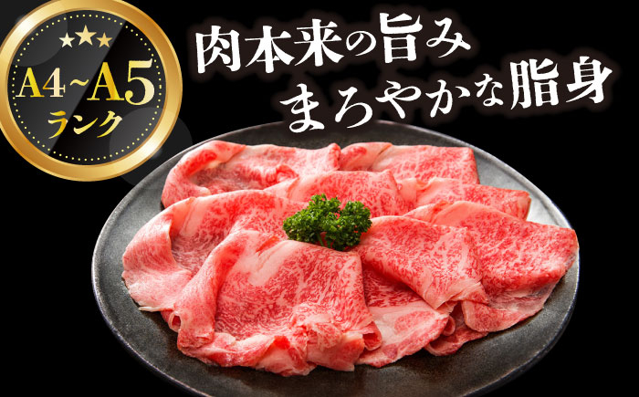 長崎和牛 和牛 国産 牛肉