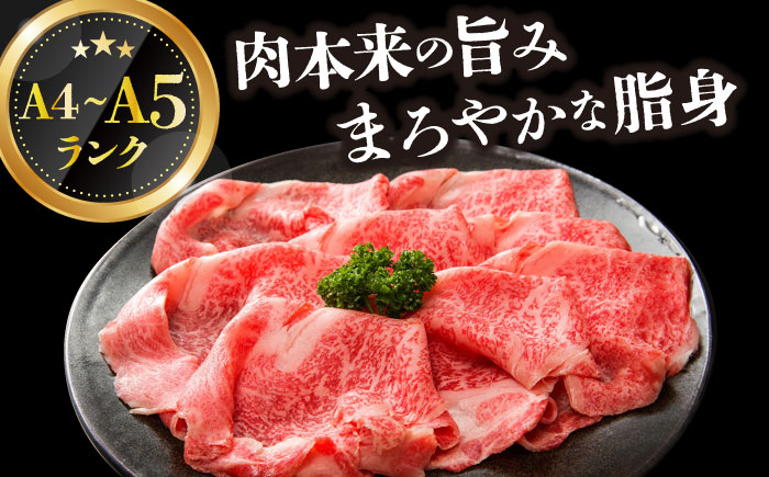 長崎和牛 和牛 国産 牛肉