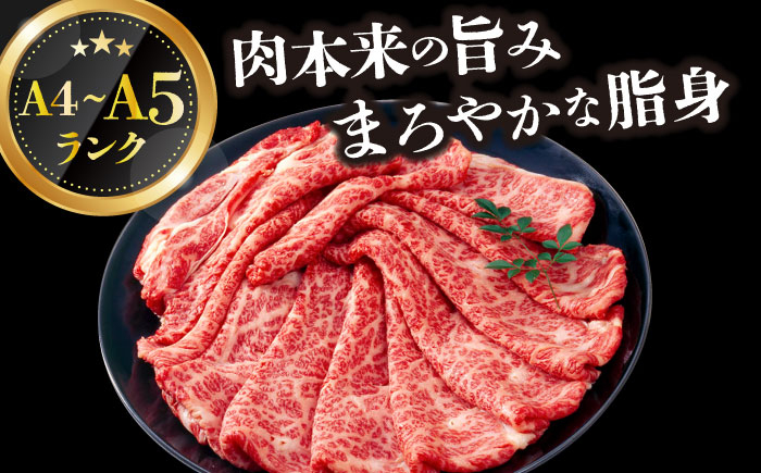 長崎和牛 和牛 国産 牛肉