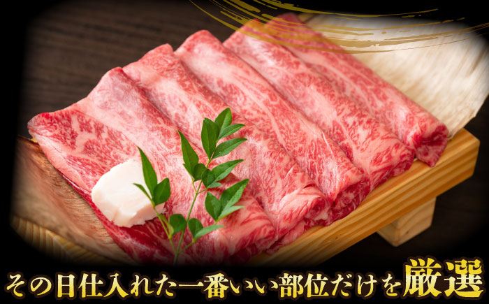 長崎和牛 和牛 国産 牛肉