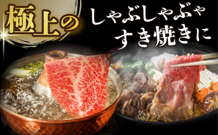 長崎和牛 和牛 国産 牛肉
