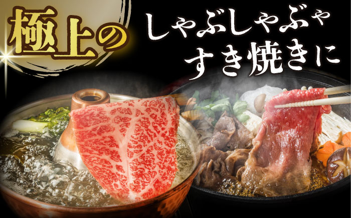 長崎和牛 和牛 国産 牛肉