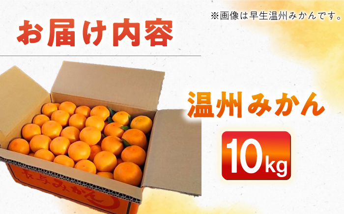 みかん ミカン 柑橘 温州みかん 果物 くだもの フルーツ 長崎みかん 長与みかん 10㎏