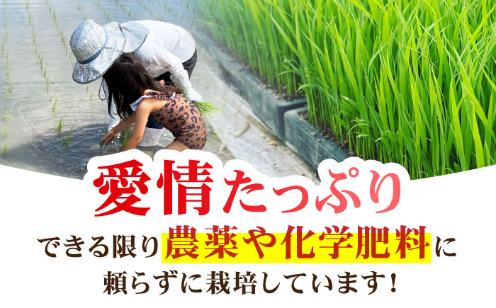 さがびより 玄米 10kg ( 5kg×2袋 ) 【ひなたむらのお米】 [HAC003]米 佐賀 佐賀県産 特A評価 玄米 新米