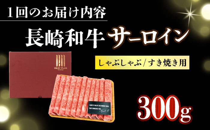 長崎和牛 和牛 国産 牛肉