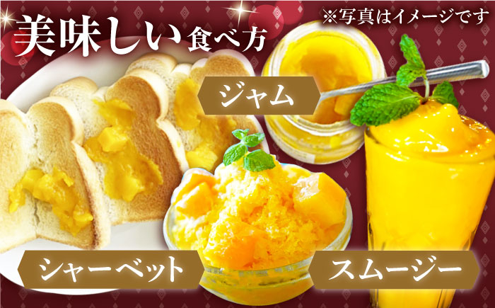 【冷凍】プリンセスマンゴー 約3kg [QAT014] 冷凍マンゴー マンゴー フルーツ 冷凍 マンゴー フルーツ 冷凍マンゴー