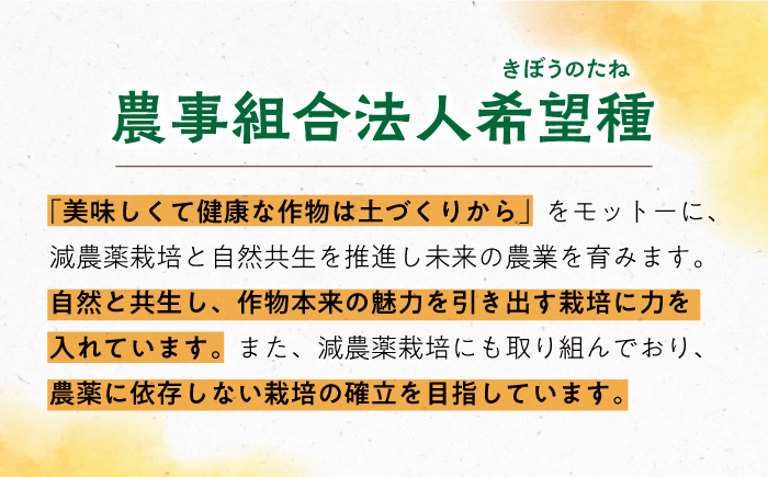 みかん ミカン 柑橘 温州みかん 果物 くだもの フルーツ 長崎みかん 長与みかん 10㎏