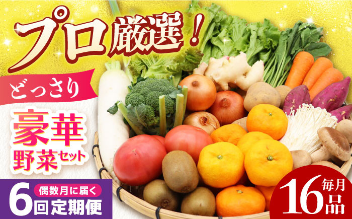   果物 キノコ 新鮮 セット 詰め合わせ 詰合せ 定期便 産地 直送 国産 