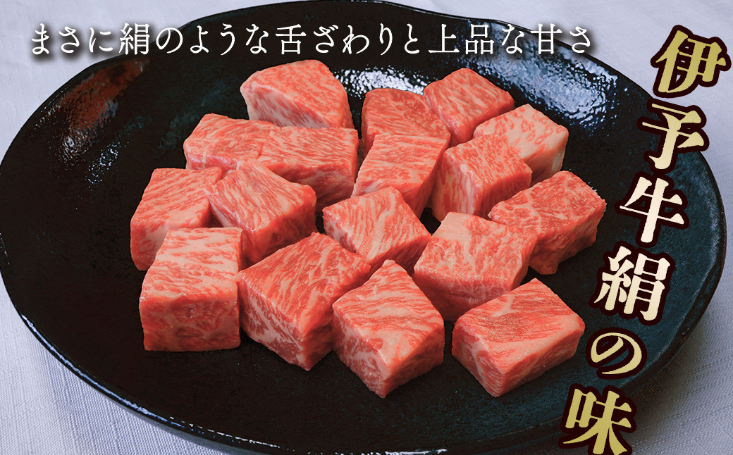 写真はイメージです