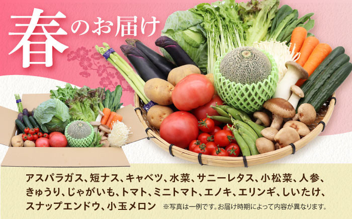 果物 キノコ 新鮮 セット 詰め合わせ 詰合せ 産地 直送 国産 季節の野菜 やさい 旬 果物
