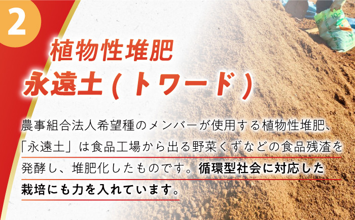 みかん ミカン 柑橘 温州みかん 果物 くだもの フルーツ 長崎みかん 長与みかん 10㎏