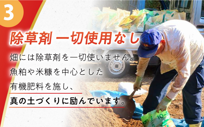 みかん ミカン 柑橘 温州みかん 果物 くだもの フルーツ 長崎みかん 長与みかん 10㎏