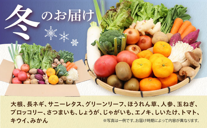 果物 キノコ 新鮮 セット 詰め合わせ 詰合せ 産地 直送 国産 季節の野菜 やさい 旬 果物