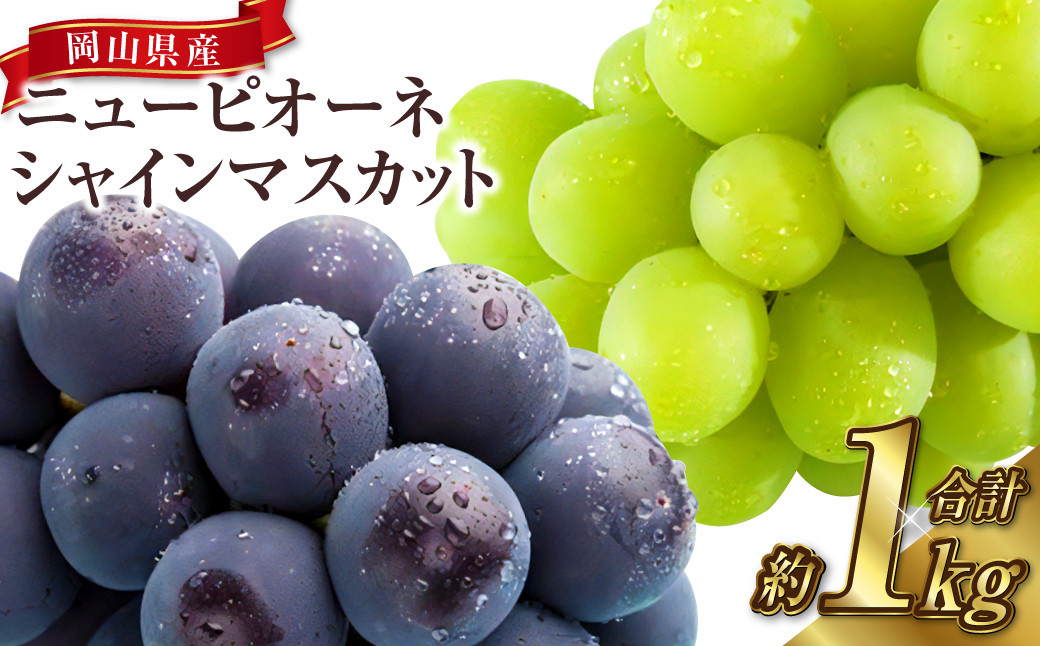 岡山県産 シャインマスカット 晴王＆ニューピオーネ 約500g×各1房 計1kg