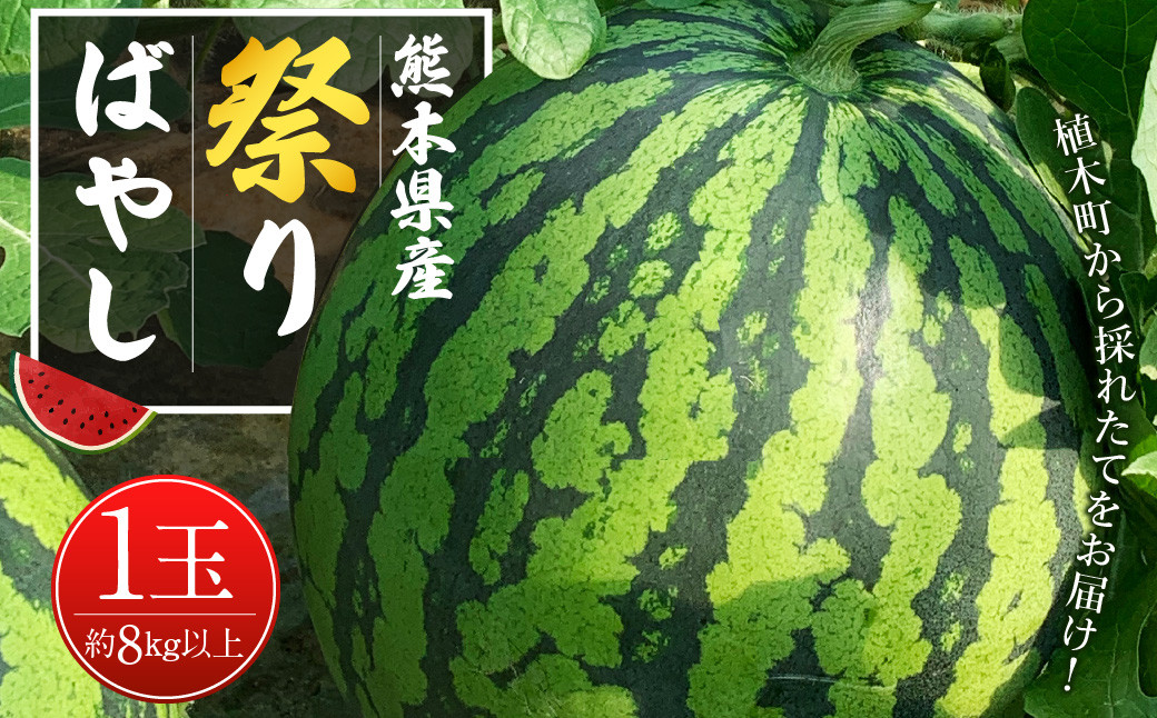 スイカ祭りばやし 1玉(8kg以上)