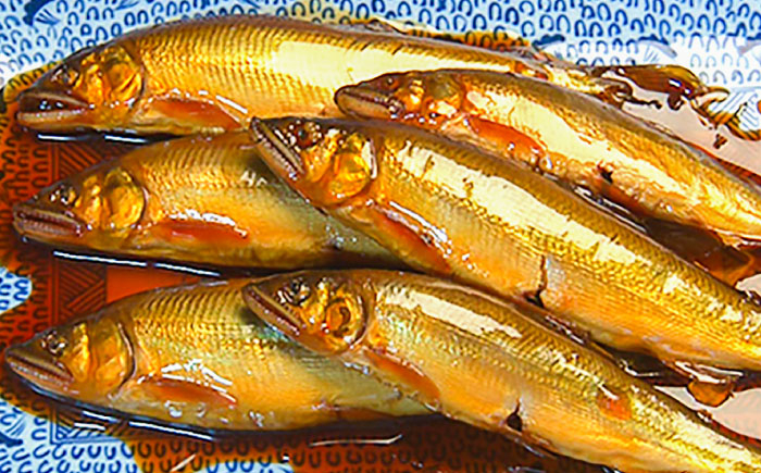 郷土料理 煮魚 新鮮 水揚げ 冷凍 自然解凍 レンジ解凍 あゆ 岐阜県 煮つけ