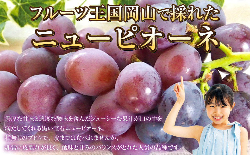 岡山県産 ニューピオーネ 1房 約700g