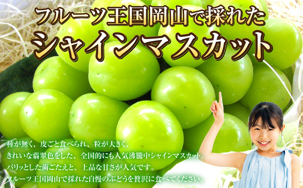 岡山県産 シャインマスカット 晴王 1房 約700g