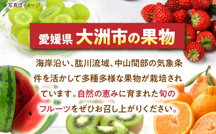 食品 果物 フルーツ 栗 くり クリ むき栗 お菓子 和菓子 料理 贈答品 ギフト 栗ご飯 愛媛県産栗 大洲市産栗 訳あり