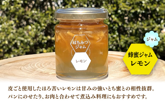 ハチミツ 蜂蜜 はちみつ ジャム セット 純粋蜂蜜 国産 お取り寄せ 岐阜