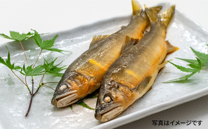 魚 魚介類 鮎 天然鮎 あゆ タレ 甘露煮 ご飯 おかず セット お取り寄せ